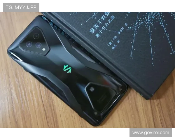 d88尊龙手机app下载官方渠道，确保每位玩家的账号安全与游戏体验